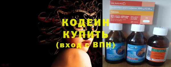 шишки Белокуриха