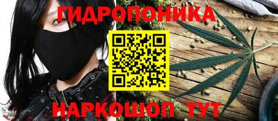 крисы Бийск