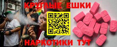 индика Кингисепп