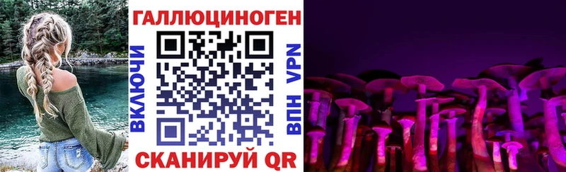 где купить   Ижевск  Галлюциногенные грибы Magic Shrooms 