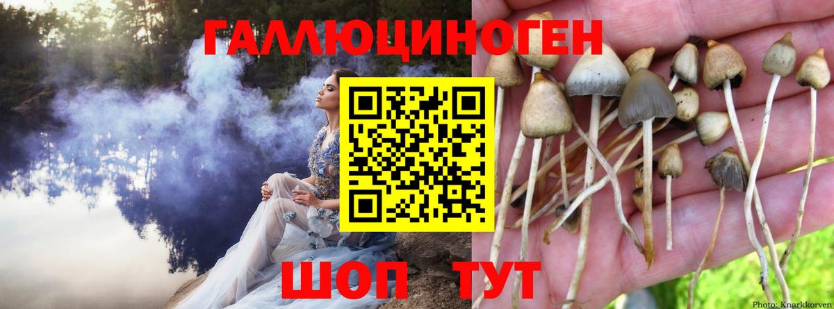 Псилоцибиновые грибы Psilocybe  Галлюциногенные грибы Magic Shrooms  Ижевск 