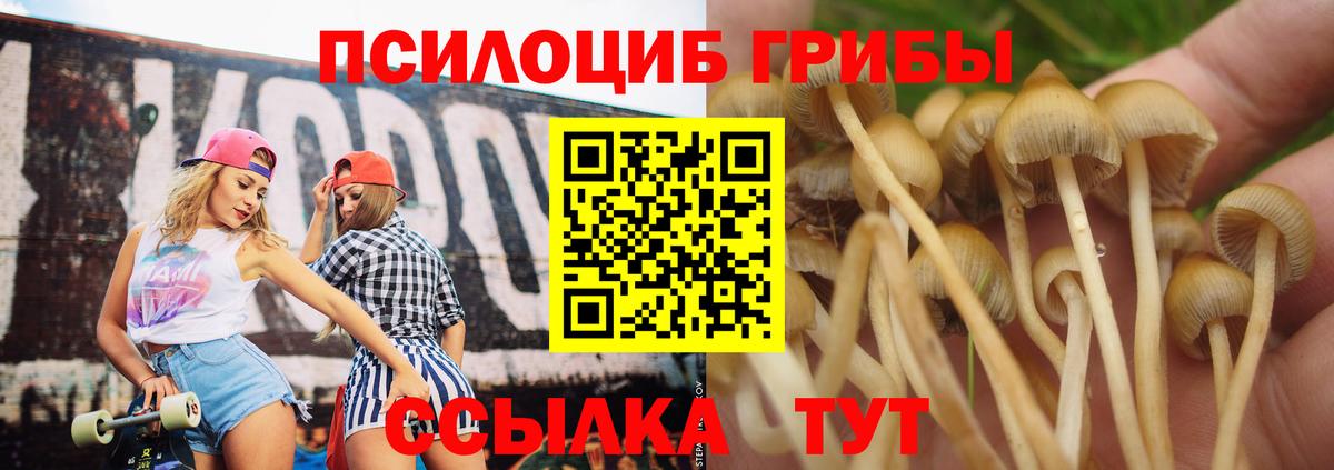 Галлюциногенные грибы мицелий  Вход с VPN  наркотики  Ижевск 
